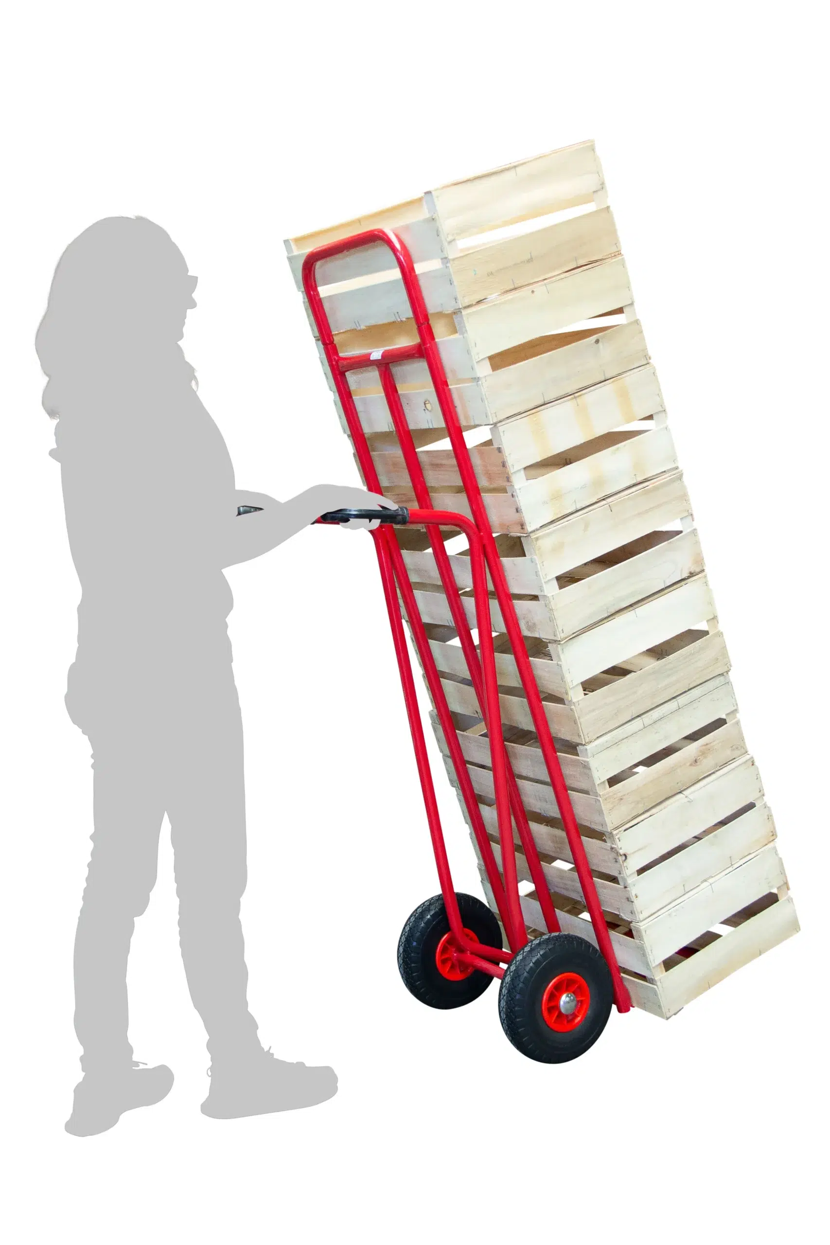 fimm-diable-maraicher-a-bavette-200-kg-810000144-a